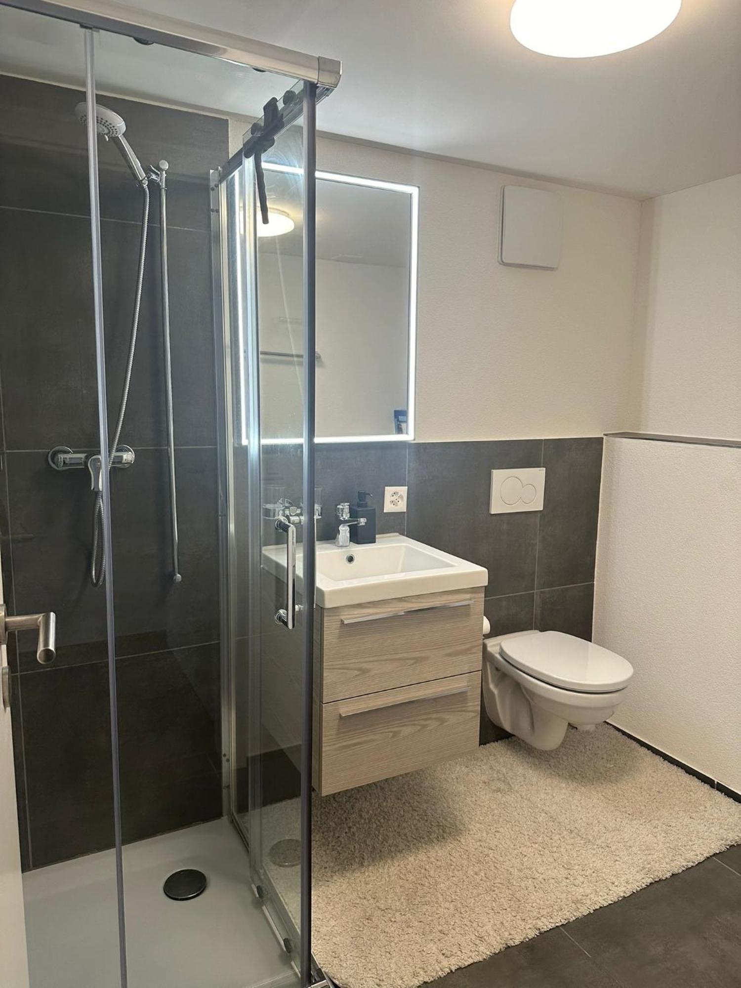 Stilvolle 2,5 Zimmer Wohnung Санкт Гален Екстериор снимка